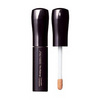 Shiseido Concealer