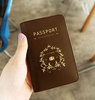 обложка для паспорта 'Fly in' - Brown