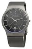 Skagen Titanium Mesh Mens Watch 233XLTTM