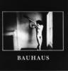 CD Bauhaus - "in the flat field"
