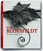 Blossfeldt /Hans-Christian Adam, Karl Blossfeldt