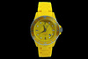 Triwa Watch
