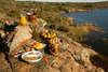 picnic