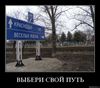 верить в хорошее