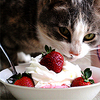 Ice cream with strawberry.