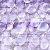 Biodegradable Premium Freeze Dried Rose Petals (Lavender color)