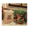 Italian Herb Garden Kit