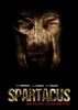 2 сезоны Spartacus'a и Misfits