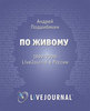 По живому. 1999-2009. LiveJournal в России, Андрей Подшибякин