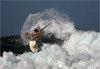 Хочу в начале весны  2011 года, поехать на о. Барбадос и насладится серфингом  и островной жизнью