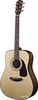 Fender Acoustic Dreadnought