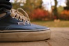 vans authentic