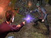 Harry Potter and the Deathly Hallows: part 1 (PC game)