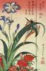 teNeues Записная книжка с магнитной застежкой, рисунок "Японская птица"