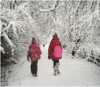 Прогулка по снежному лесу