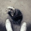 котёнок