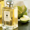 Lime Basil & Mandarin от Jo Malone