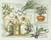 Cross Stitch Kit Taste of the Mediterranean From Dimensions