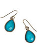 Tiny Teardrop Earrings