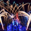 Firework in Disneyland