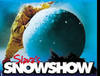 билет на шоу Славы Полунина "Снег"