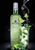 Bacardi Mojito