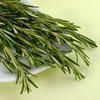 certified organic rosemary essential oil