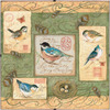 Birds and Swirls - Day Dreams Cross Stitch Kit  by Dimensions