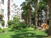 Сдать летнюю сессию