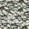 Зарабатывать 50000 рэ в месяц