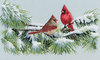 dim35178 Зимние кардиналы