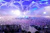 Sensation 2011