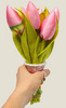 Льняные  тюльпаны