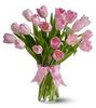 нежно-розовые тюльпаны