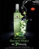 bacardi mojito