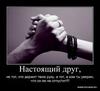 настоящий друг))))