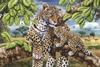 пазл Leopard and Cub