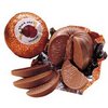 Terry`s chocolate  orange