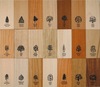 Набор «Коллекция породы дерева»