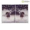 Обложка на паспорт