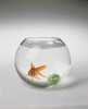 Круглый аквариум с золотой рыбкой или петушком