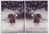 Обложка для паспорта "Ежик в тумане"