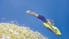 Seabob diving