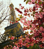 Опять хочу в Париж!
