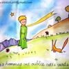 The Little Prince Deluxe Pop-Up Book