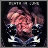 Death in June - Rose Clouds of Holocaust