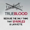 Пересмотреть все сезоны True blood