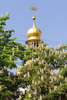 В Киев в мае смотреть на цветущие каштаны и заодно  - в Крым)