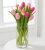 нежно-розовые тюльпаны