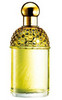 Aqua Allegoria Mandarine-Basilic (Guerlain)